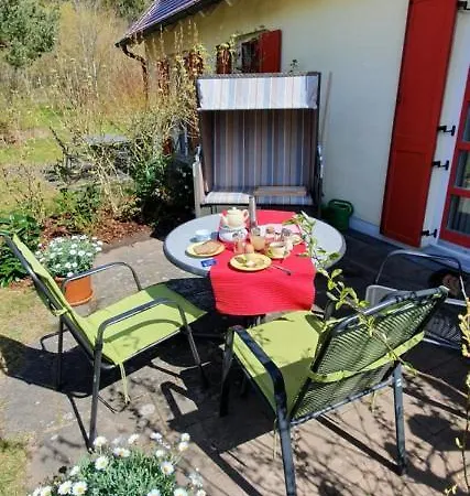 Kleine Strandnahe Auf Dem Bakenberg Insel Ruegen