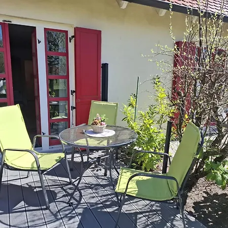 Kleine Strandnahe Auf Dem Bakenberg Insel Ruegen * Dranske