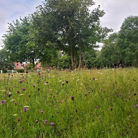 Apartman Kleine Strandnahe Auf Dem Bakenberg Insel Ruegen *